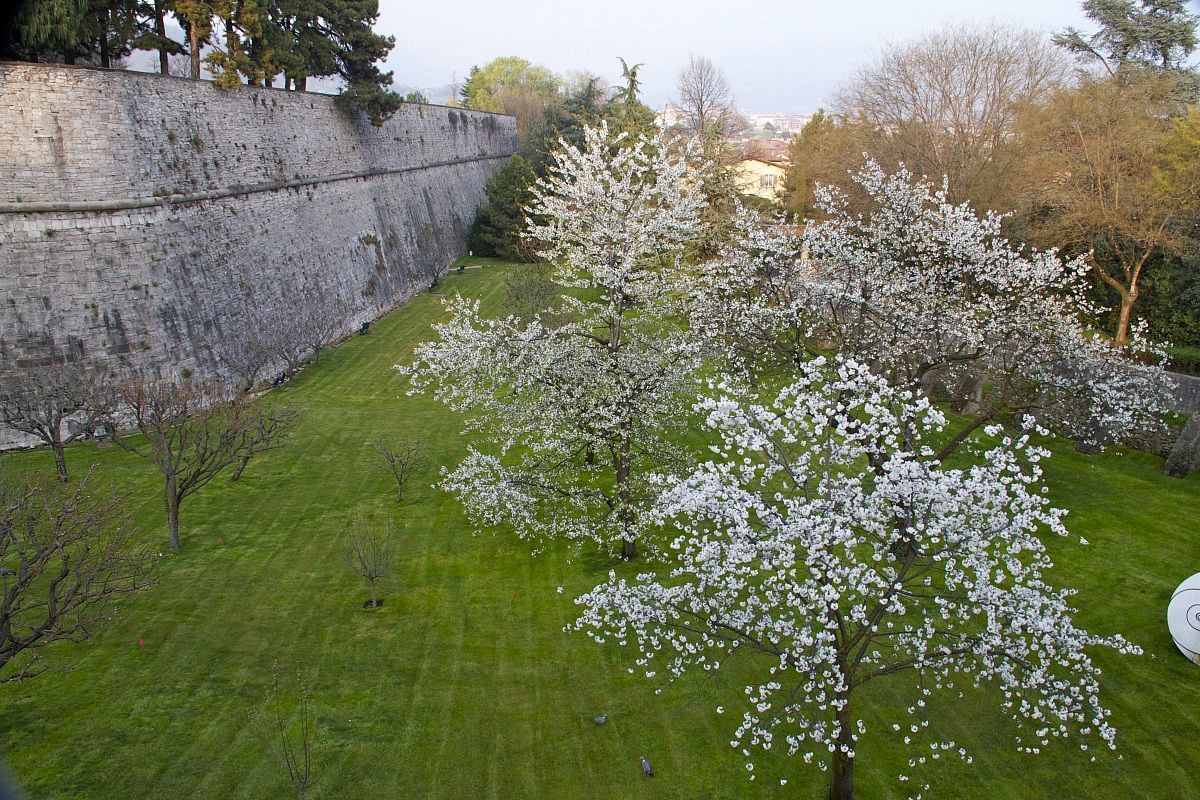 spring on the walls Bg