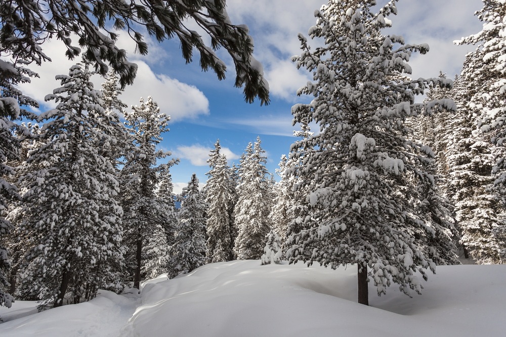 winter impressions no. 3