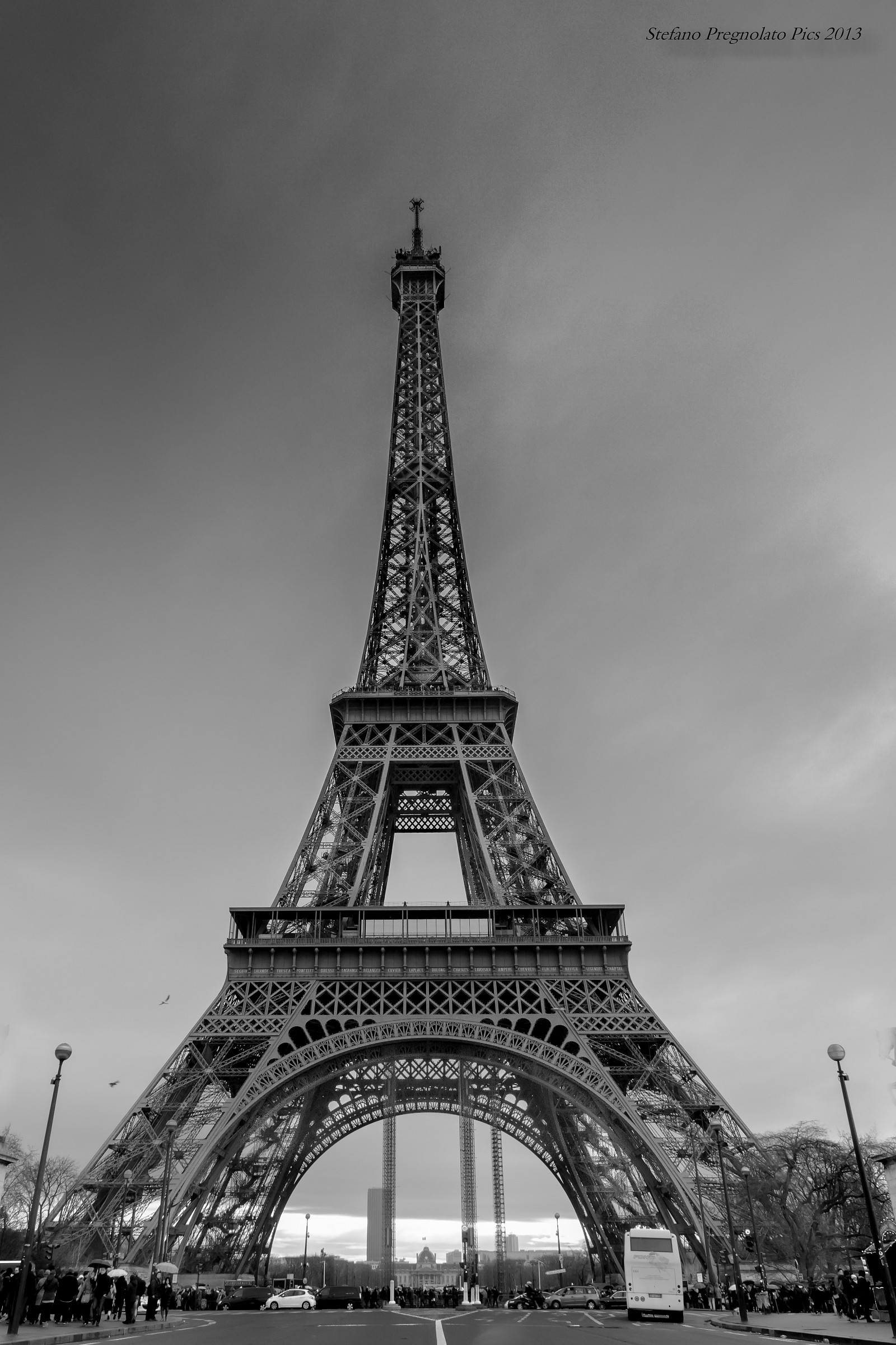 The Lady in Black and White