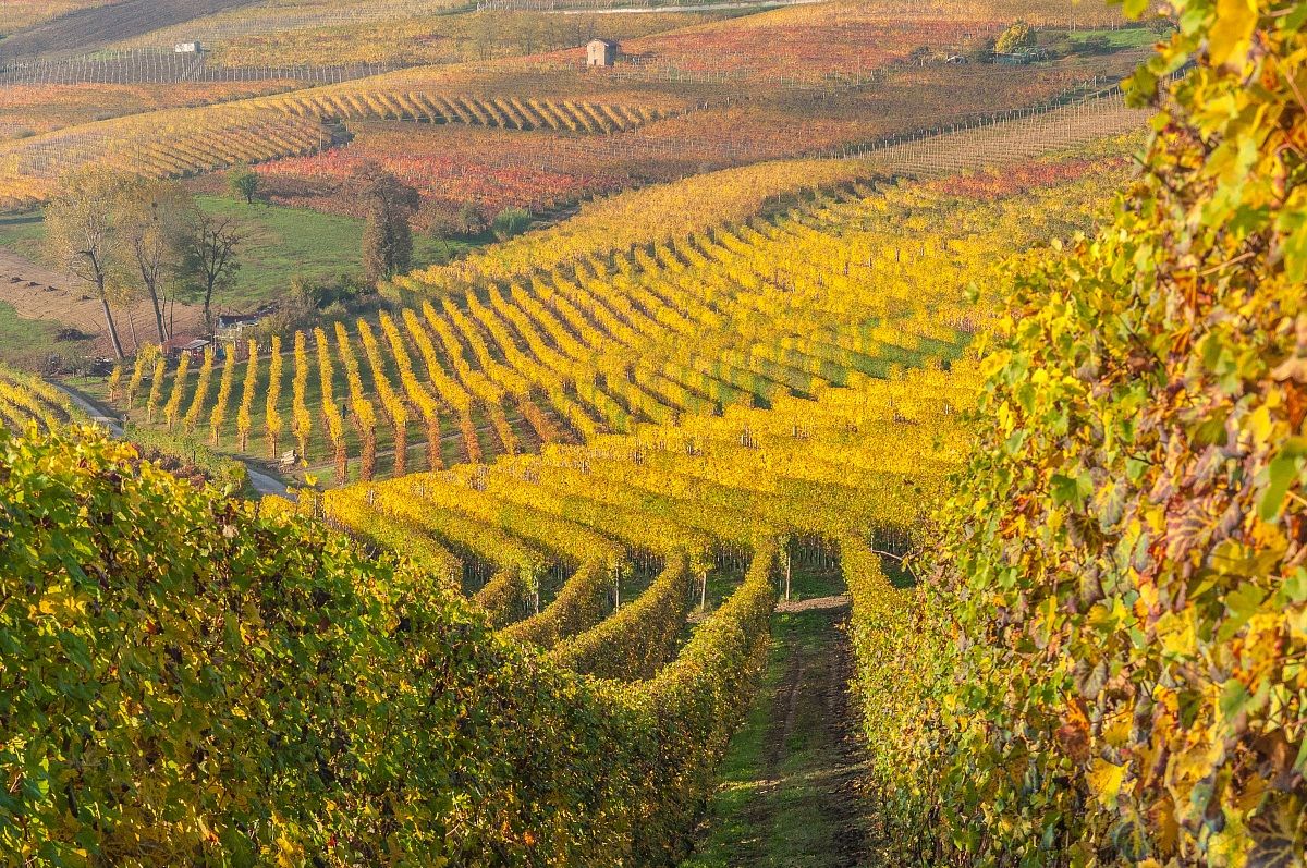 Autunno in Langa