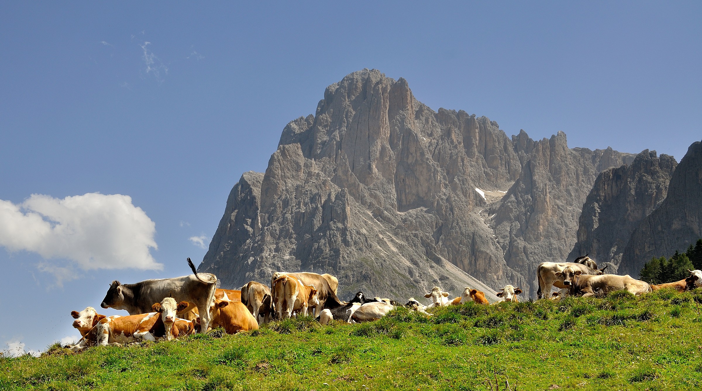 ... just missing Heidi