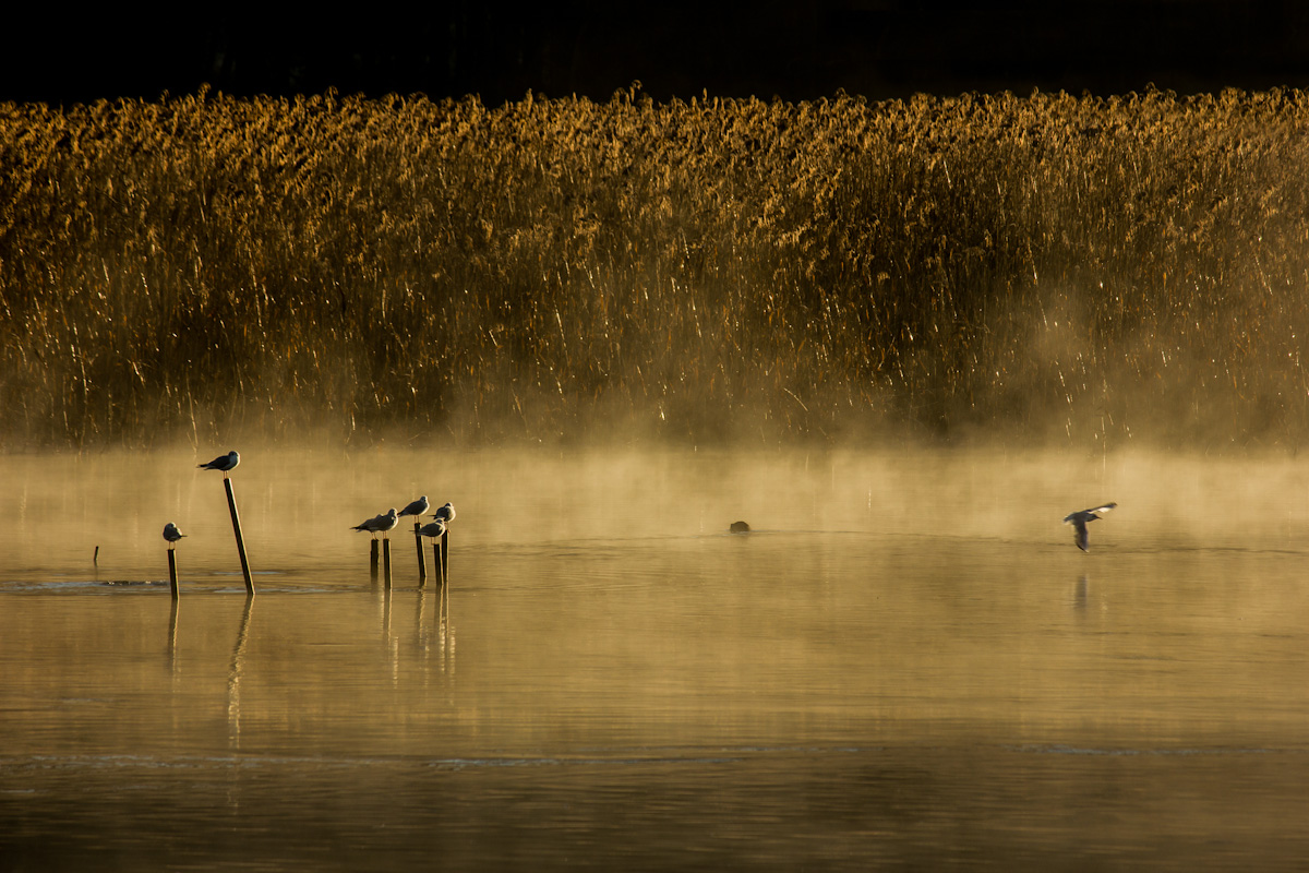chi vola via perde il posto all'osteria :-)