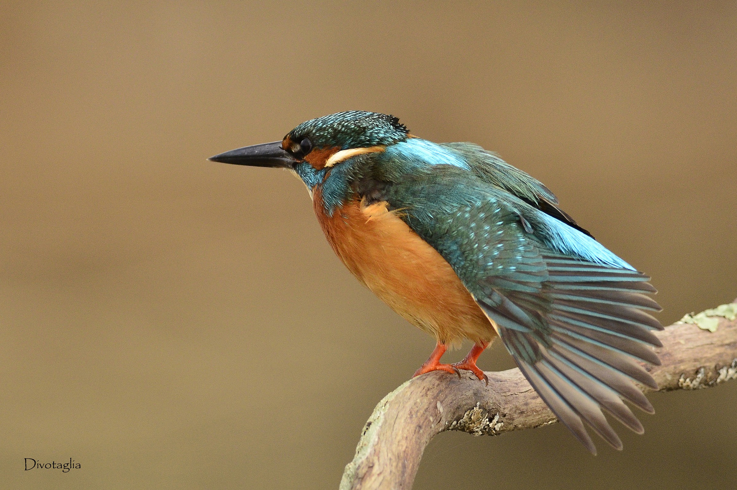 Un po' di stretching non guasta.