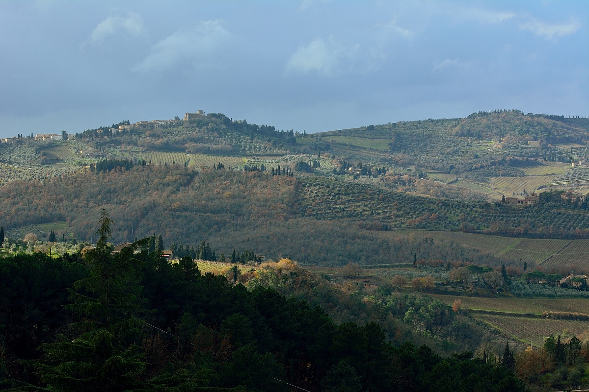 The hills of Greve, Panzano and Lamole