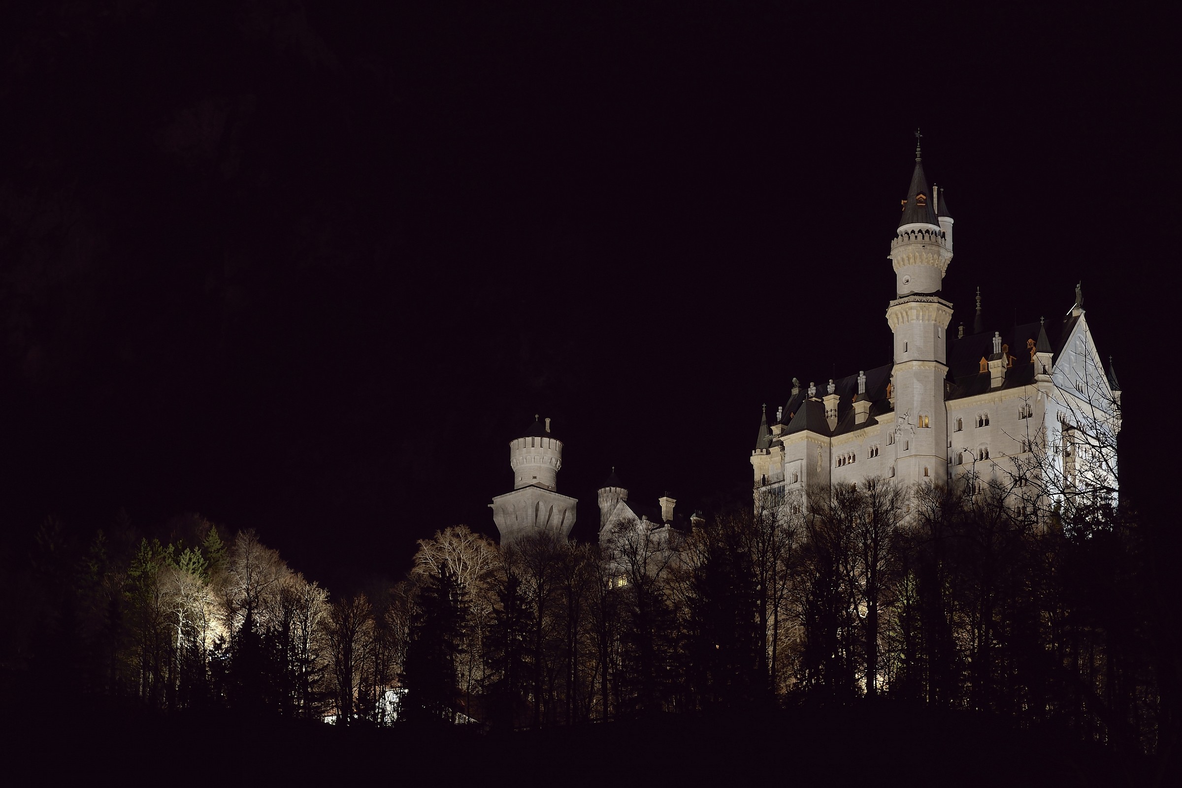 2014 - Castello di Neuschwanstein