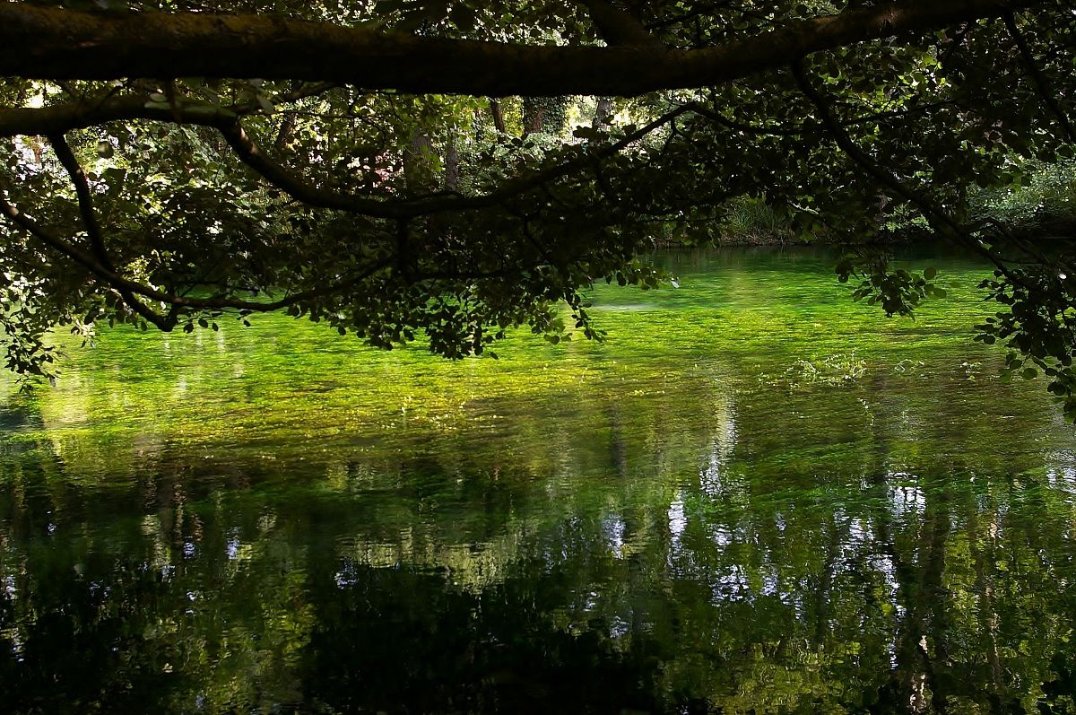 Fontaine de Vaucluse