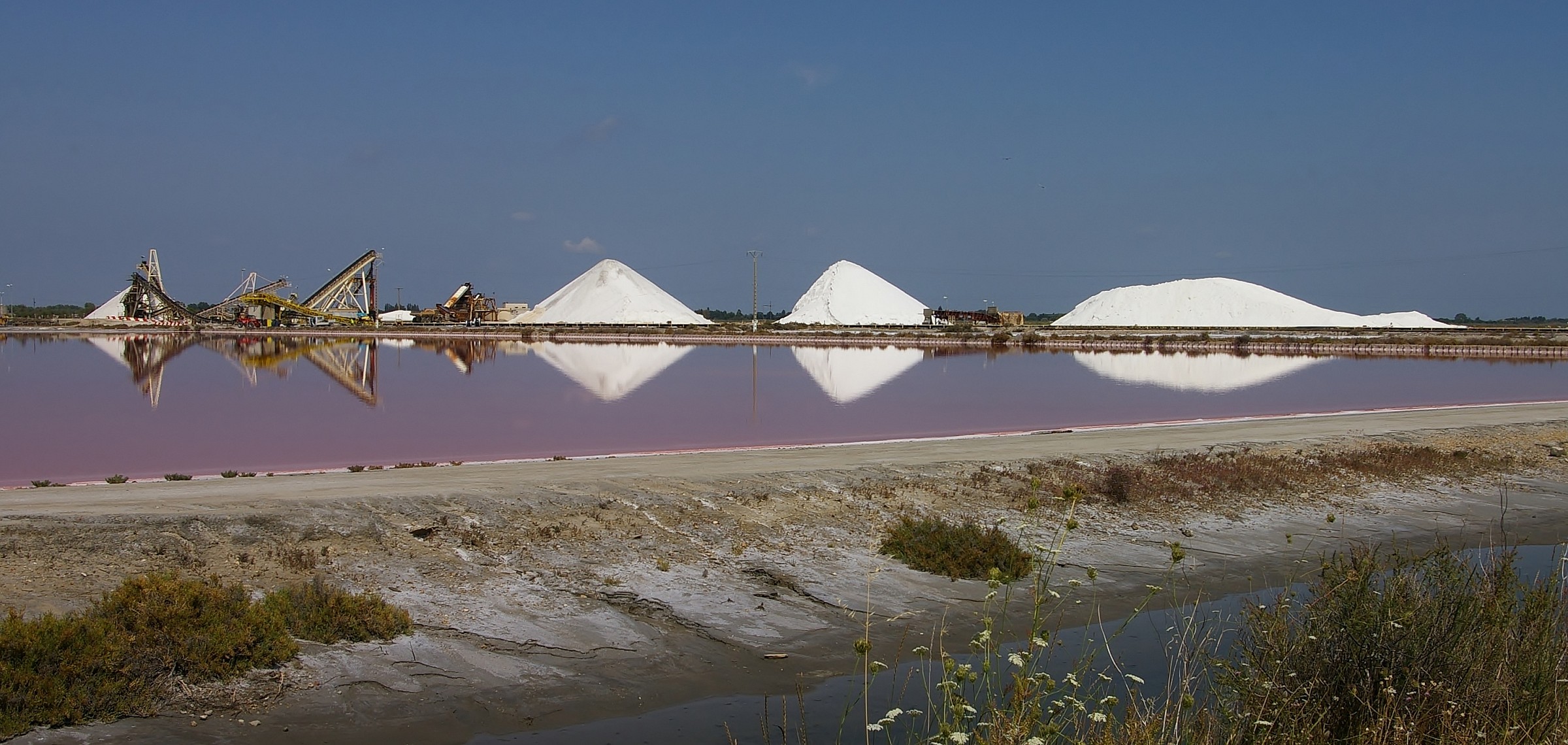 Saline Aigues Mortes