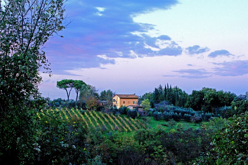Val D'Elsa in Autumn