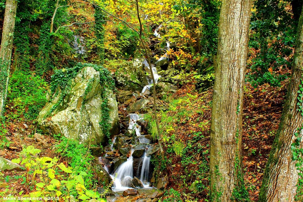 Pratomagno in Autunno