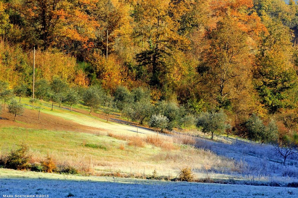 The crags in Valdarno Fine Fall