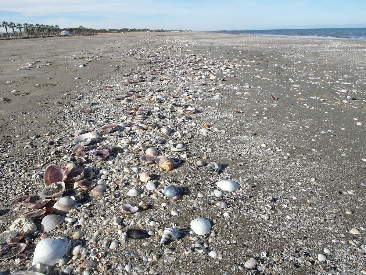 Qui è passato il mare