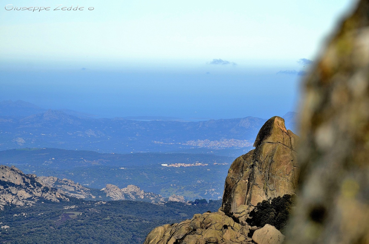 limbara from the Emerald Coast