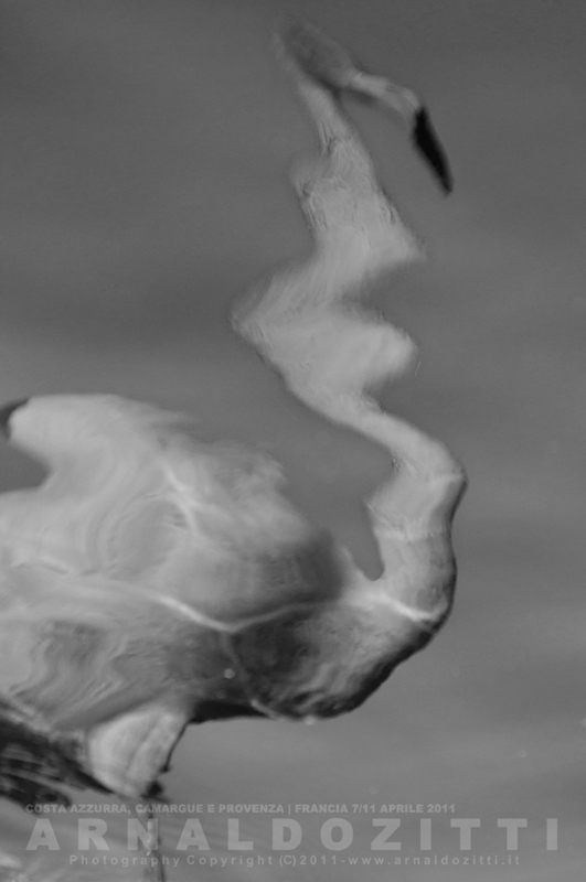 Flamant abstraction?