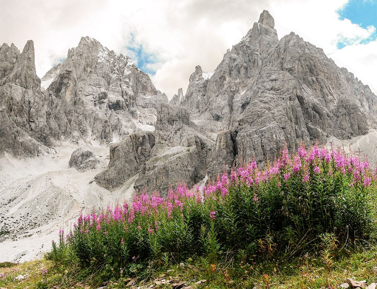 Dolomites - Val Venegia