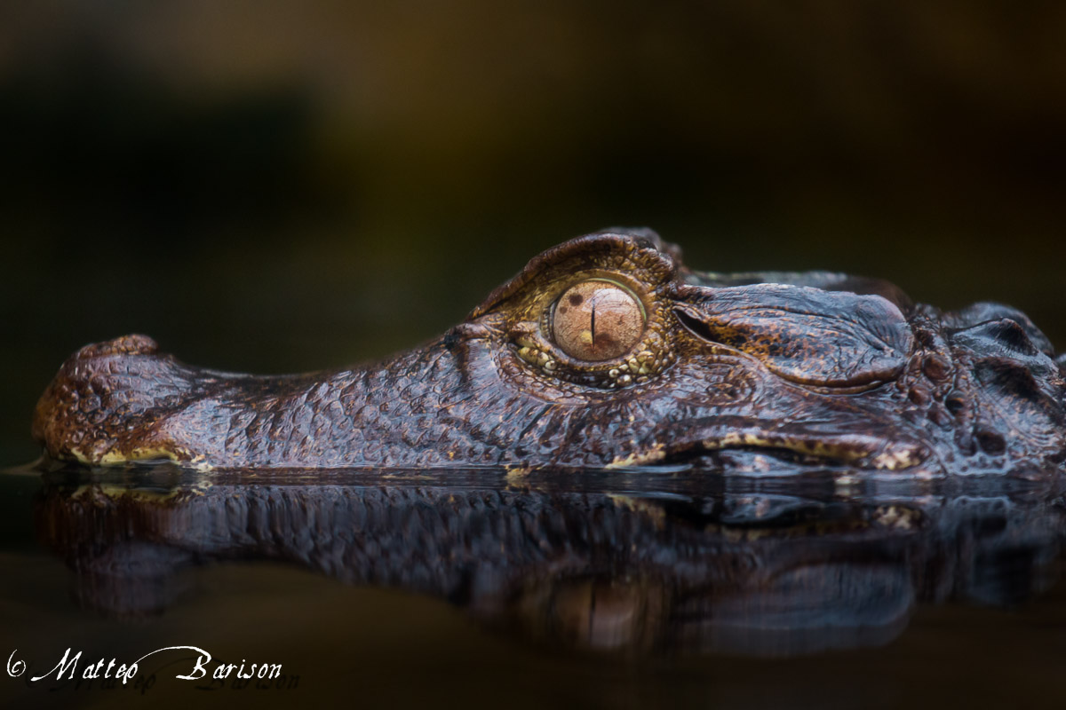 Please let me angry!