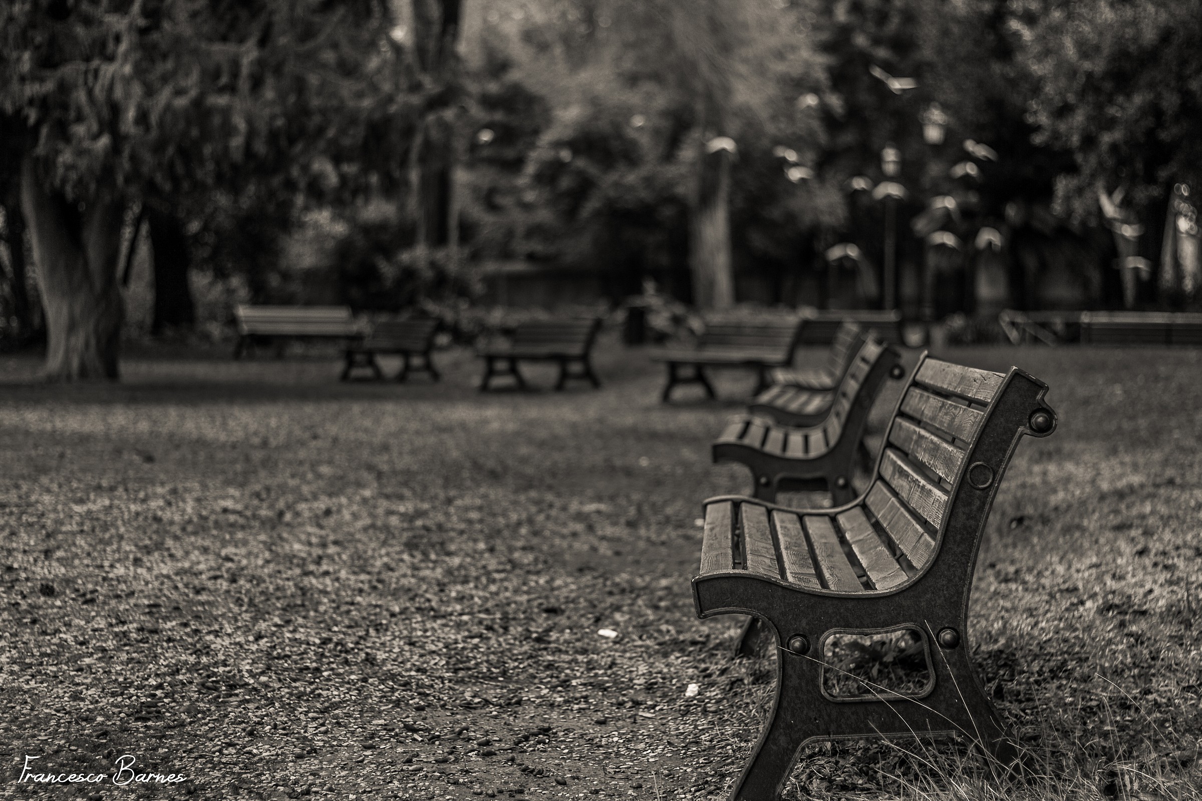 Panchine vuote