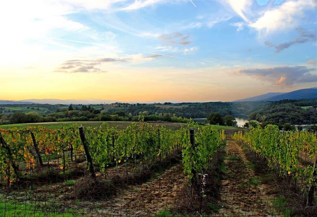 Sunset in Laterina and Pieve a Majano