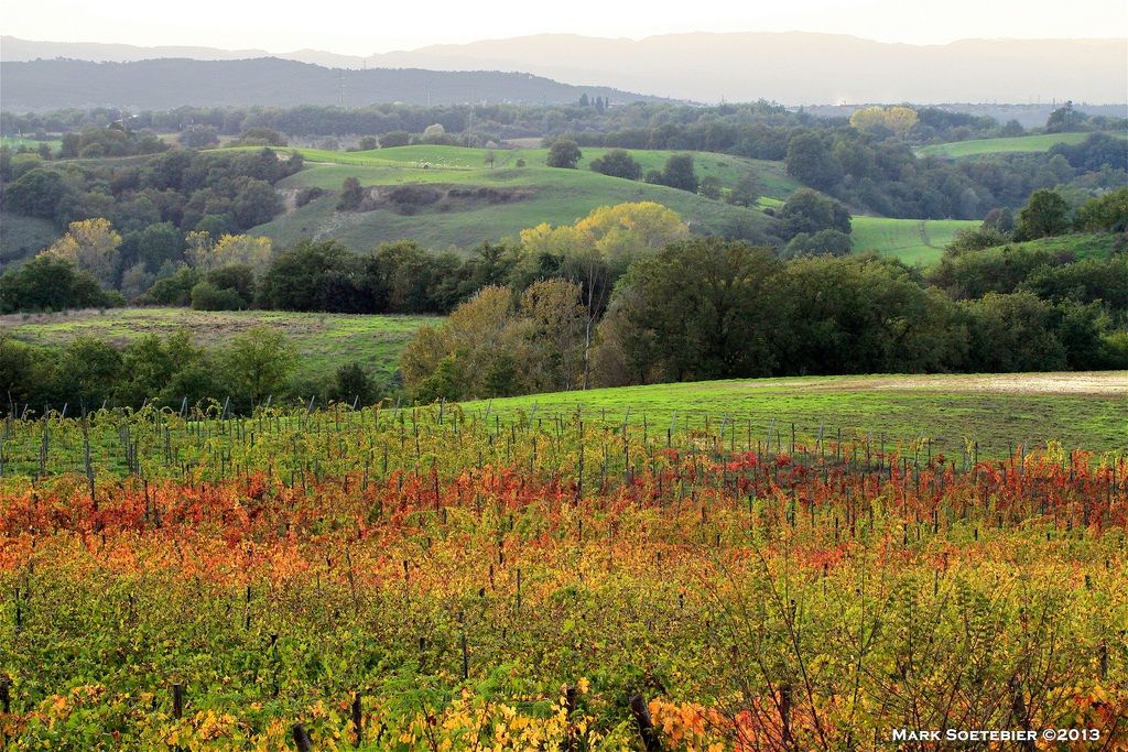 Autumn in Valdarno