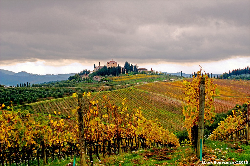 Autumn in Chianti (Radda In Chianti)