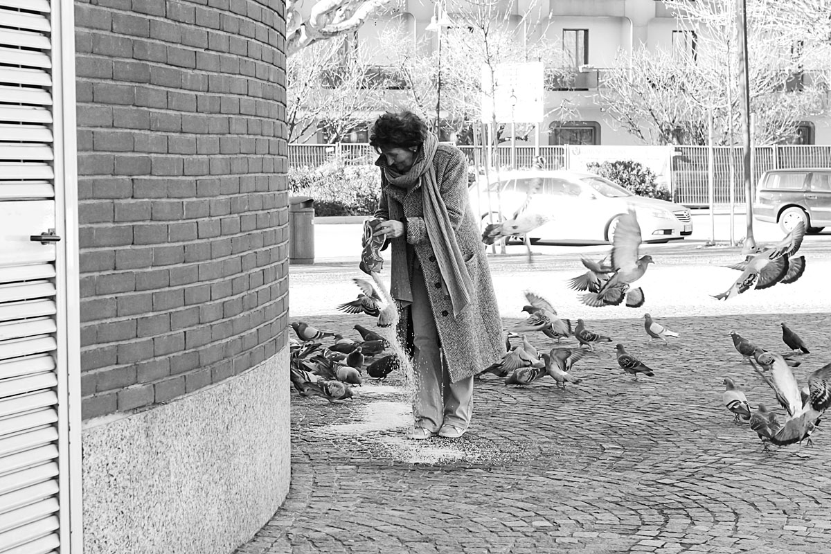 Giving food to birds
