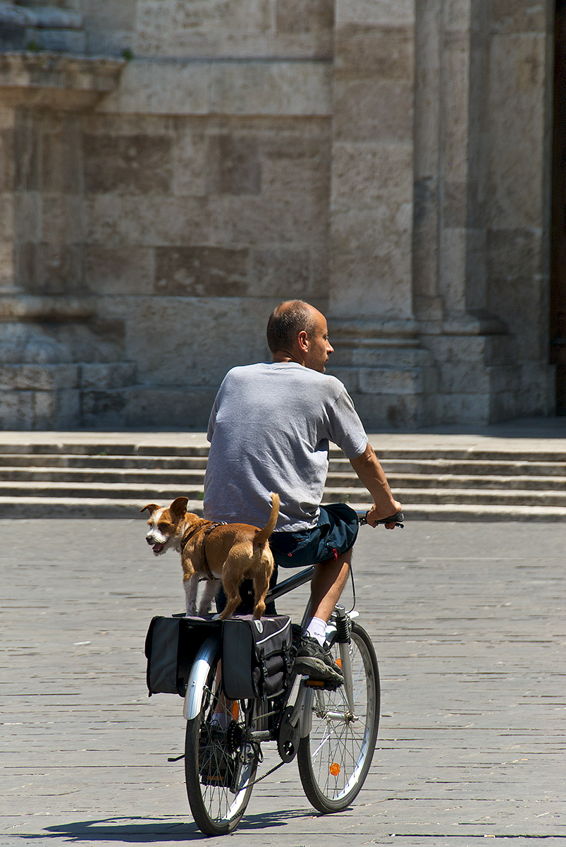 un giro in bici