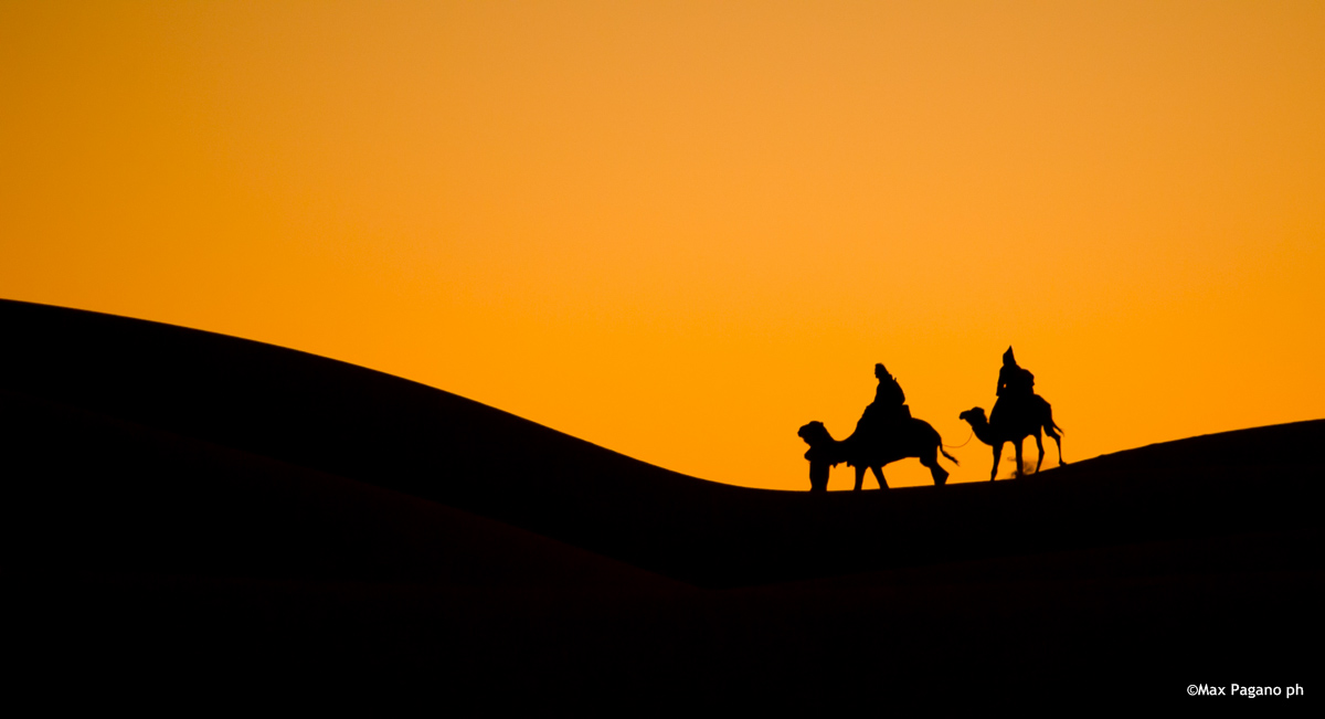 Marocco, Erg Chebbi, dromedari