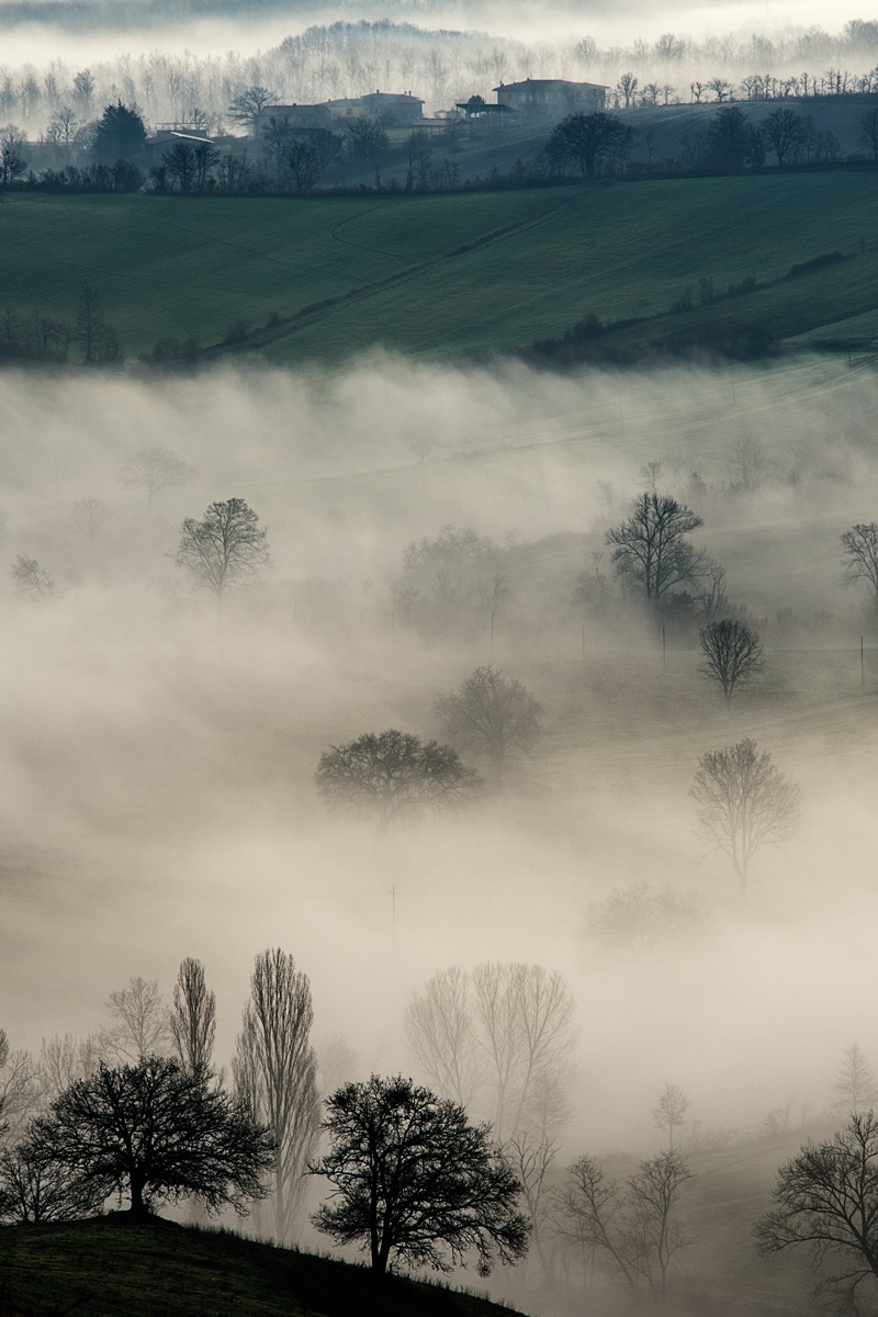 Mists of Siena