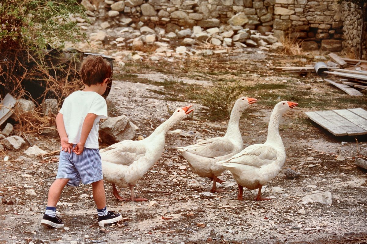 Il bambino e le Oche