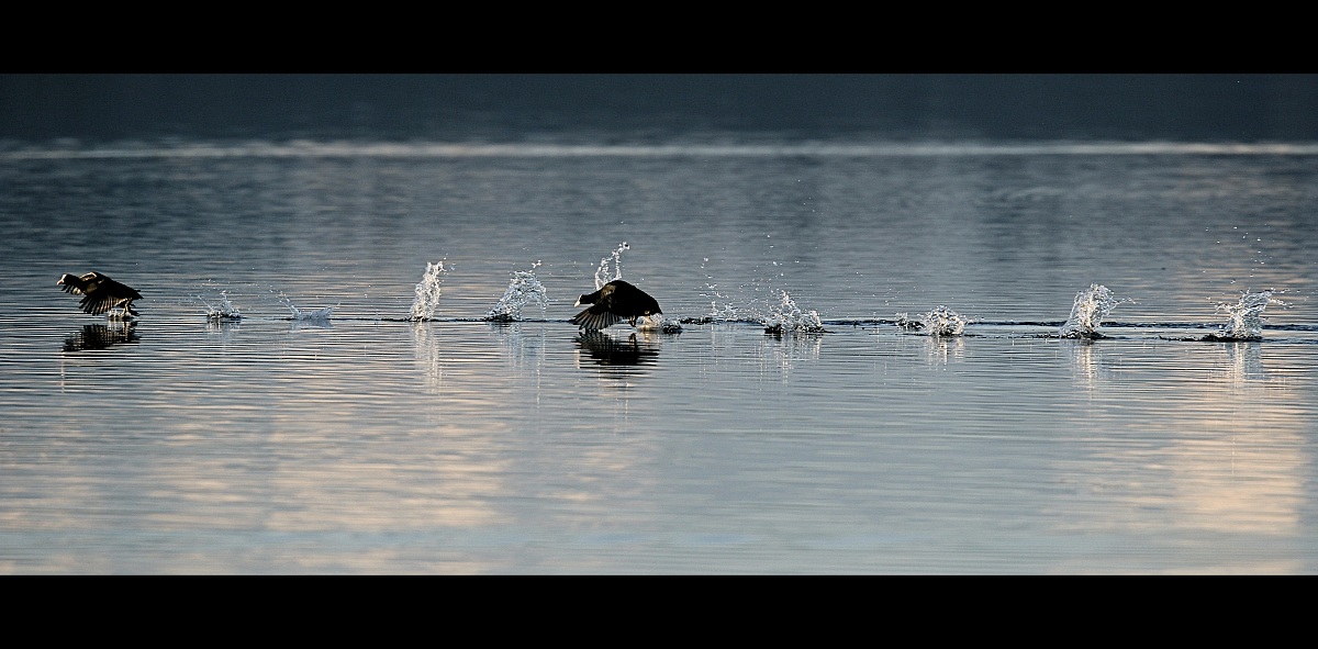 If I catch ... .....