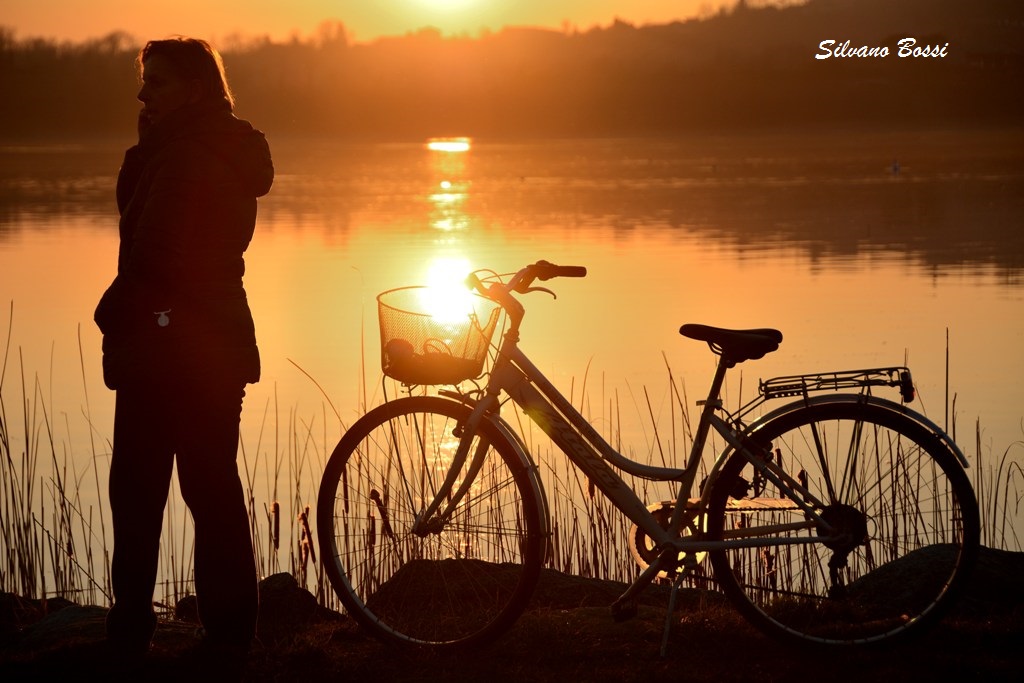 with the sun in the basket