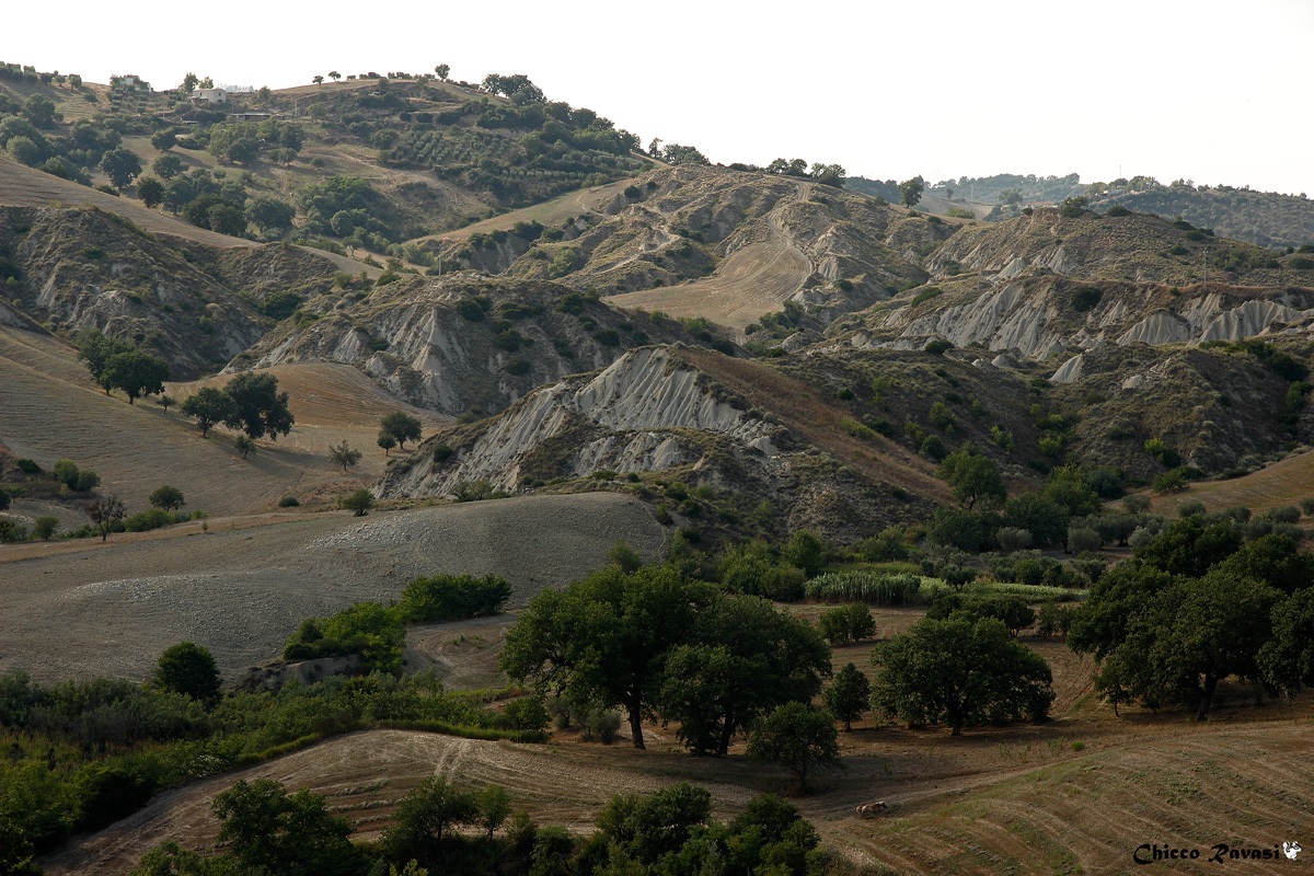 in Basilicata.