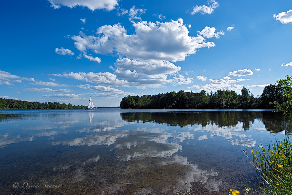 Lago nella regione di Kujawsko-Pomorskie