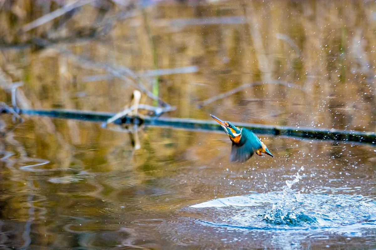 tuffo poco producente