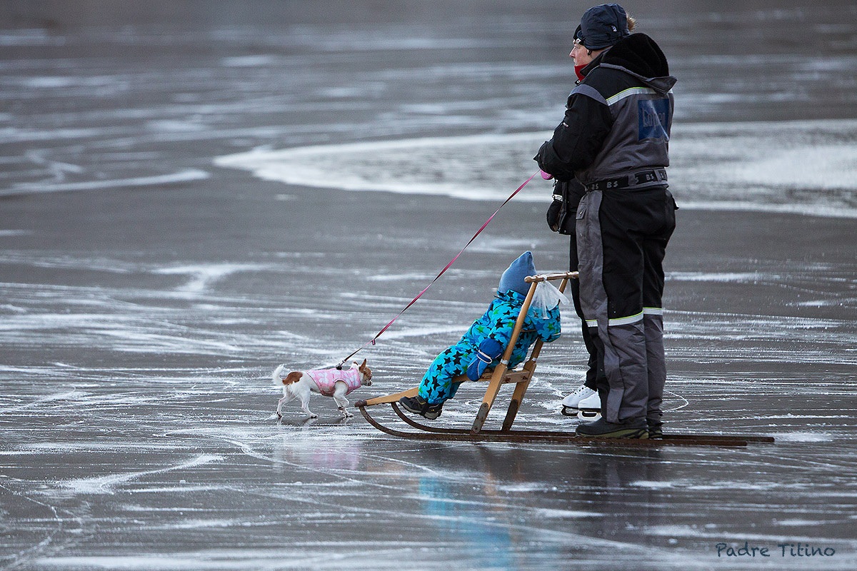 Famiglia tipica norvegese con "cane da slitta"