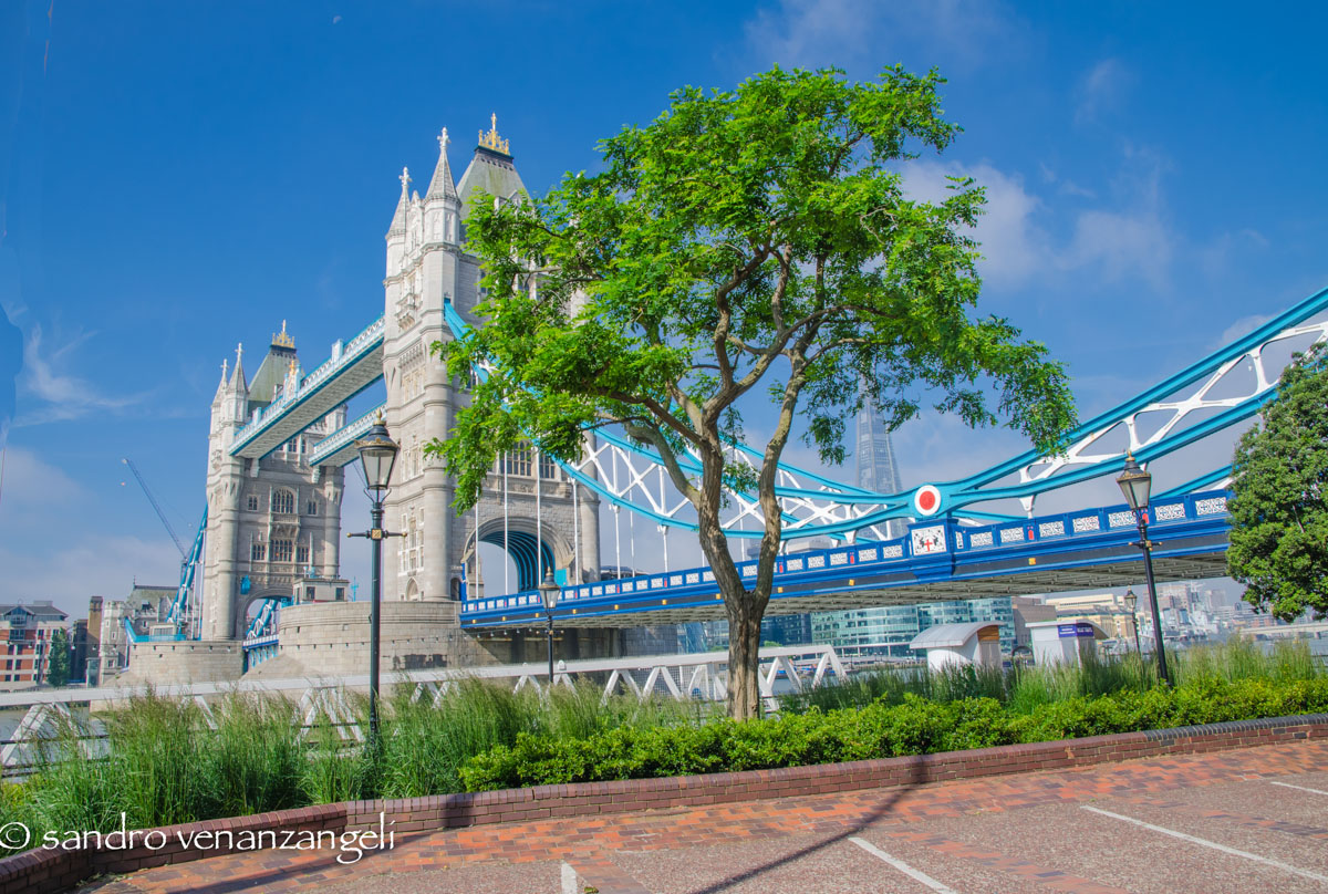 4. The "bridge" ... tris