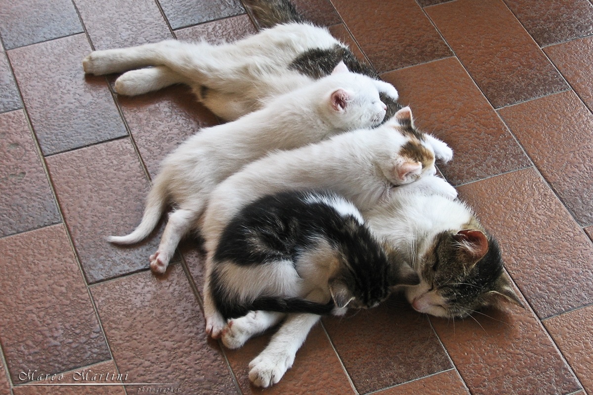 When the belly is full!