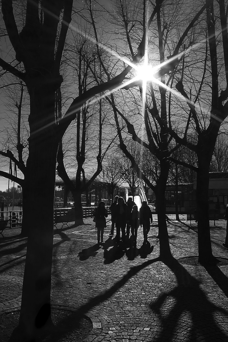 Trapped Among the shades