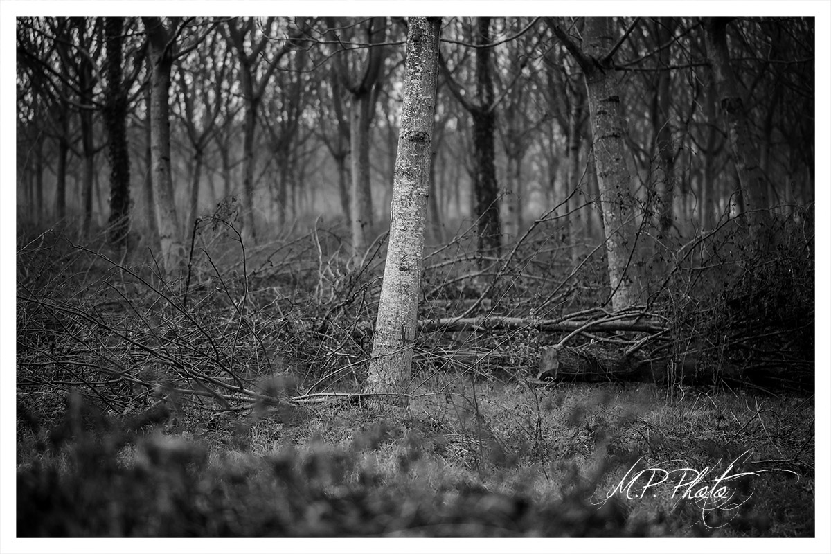 The man destroys ...