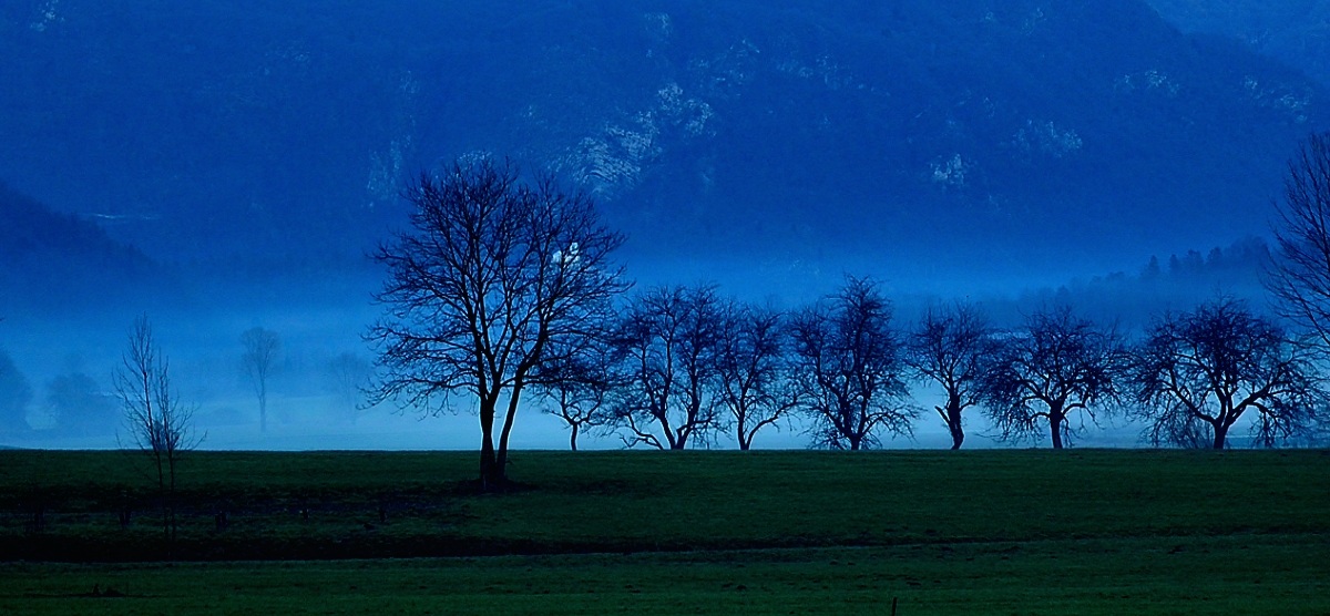 Tra Italia e Slovenia 5