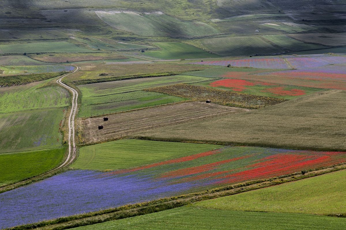 i colori di astelluccio