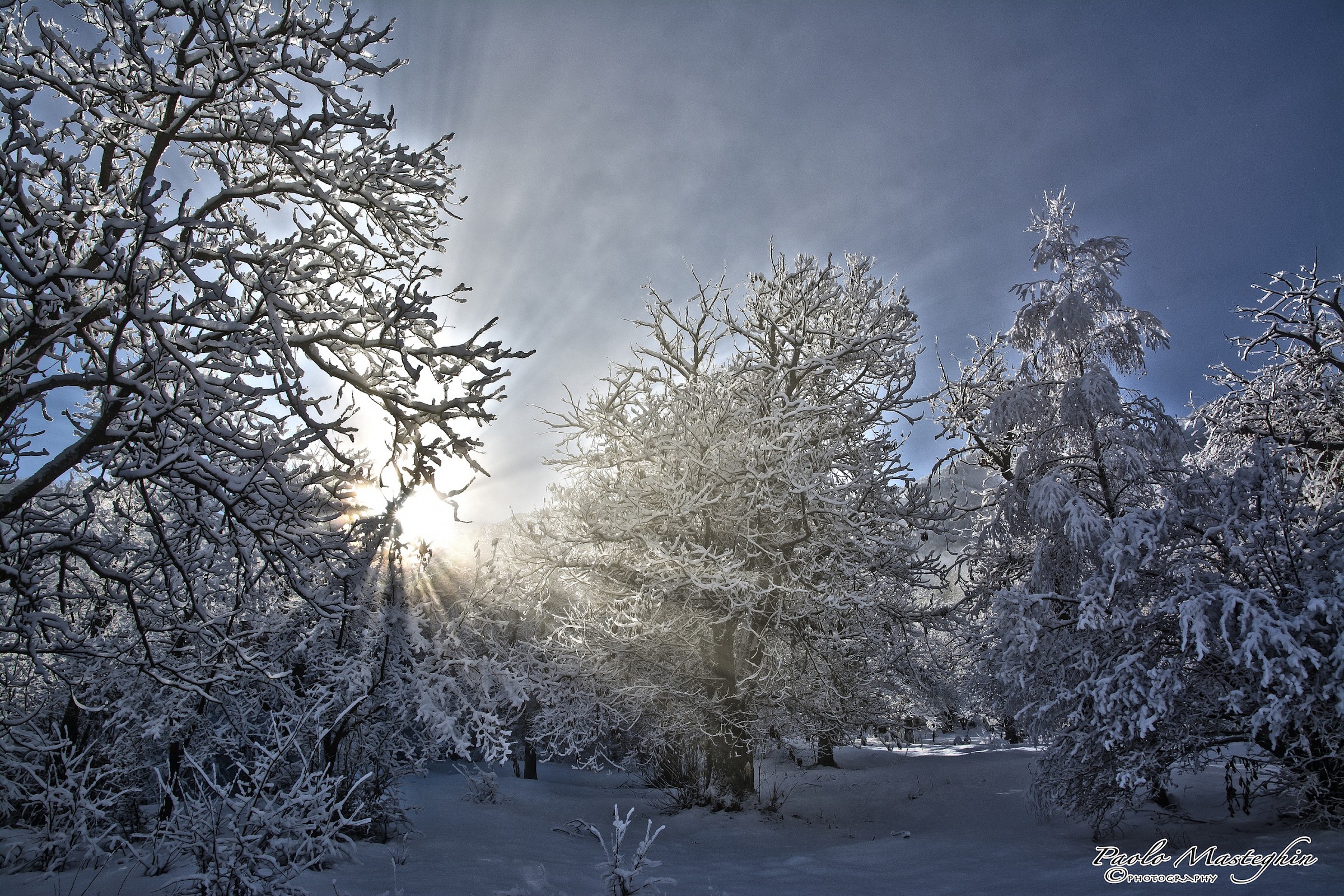 Nel bosco fatato....
