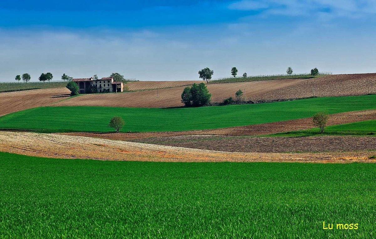 The farm on the hill