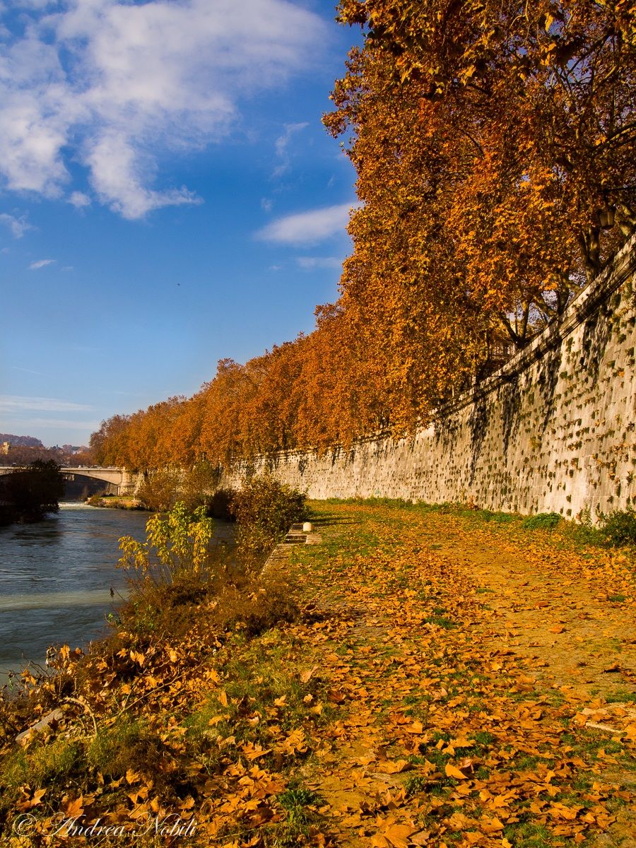Roma, passeggiata sul Lungo Tevere