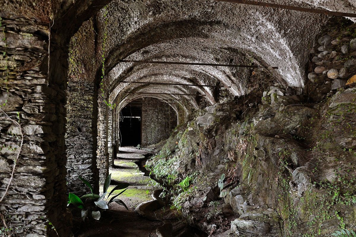 the greenhouse villa san remigio