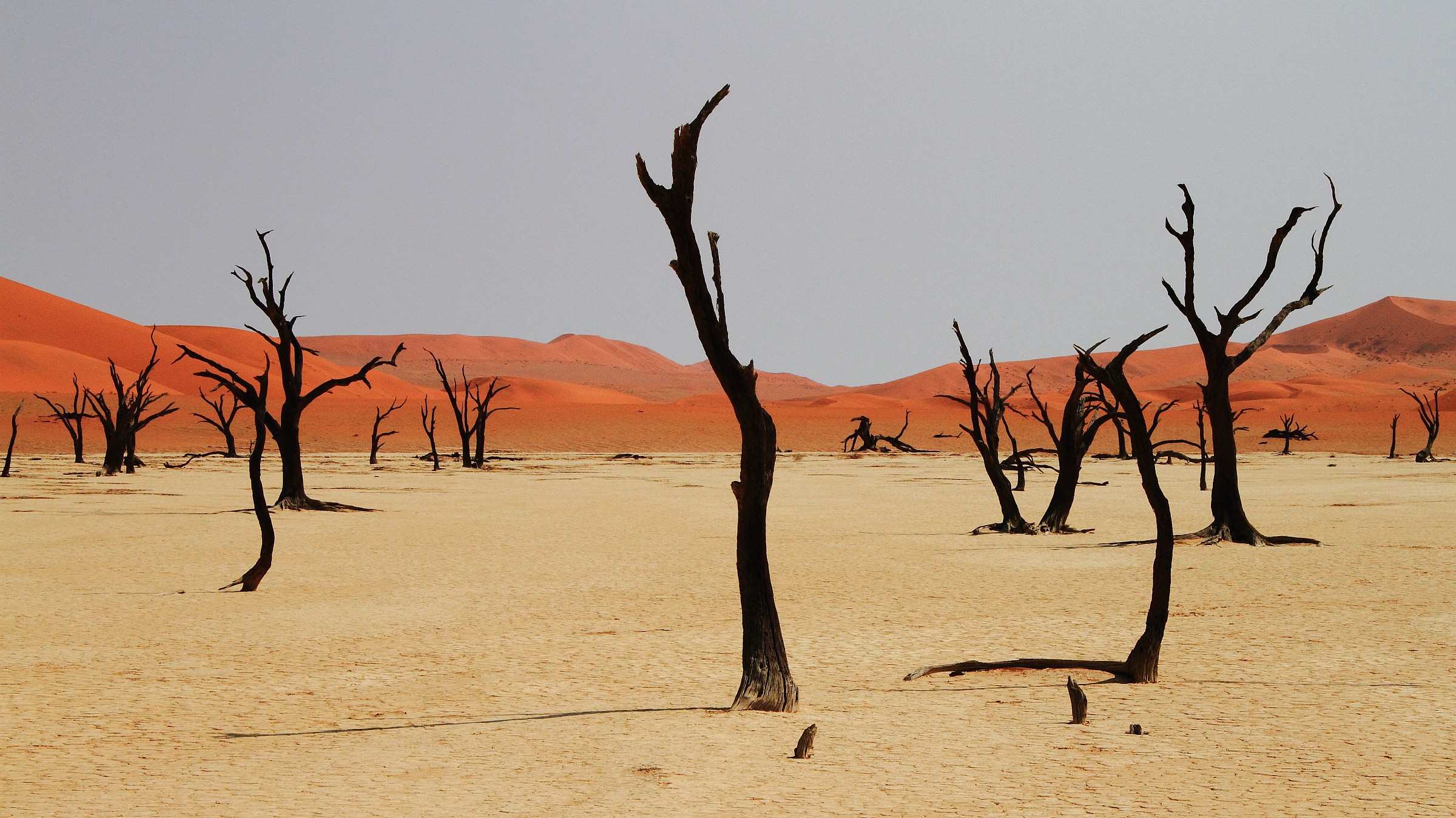 Dead Vlei