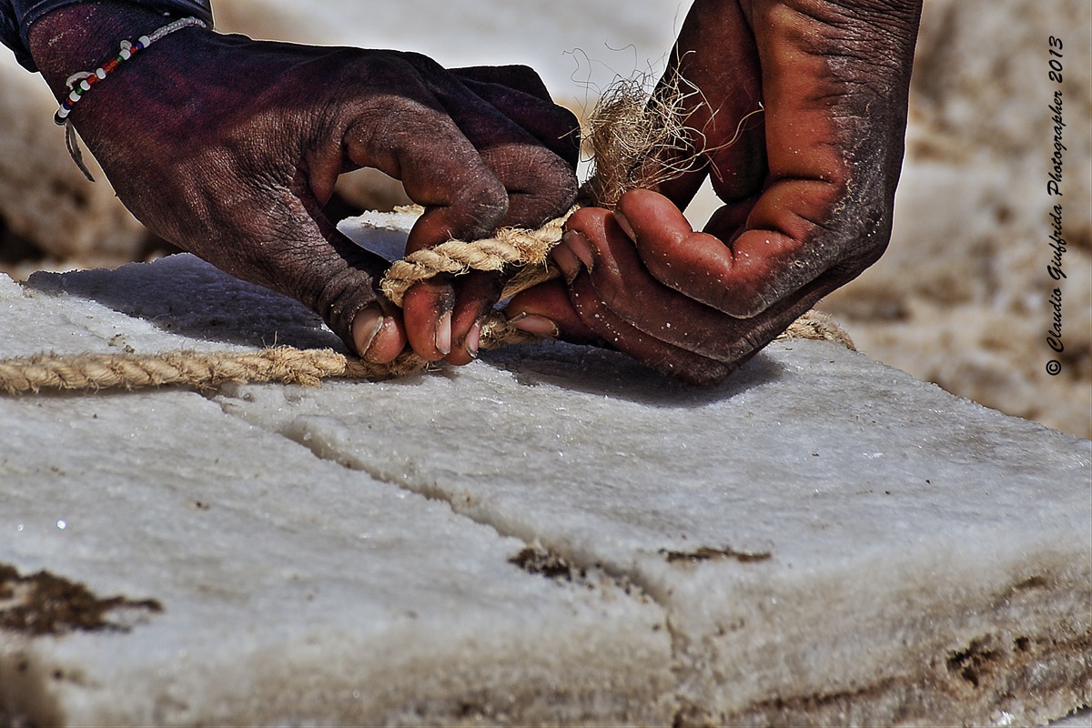 Le mani del cammelliere Afar