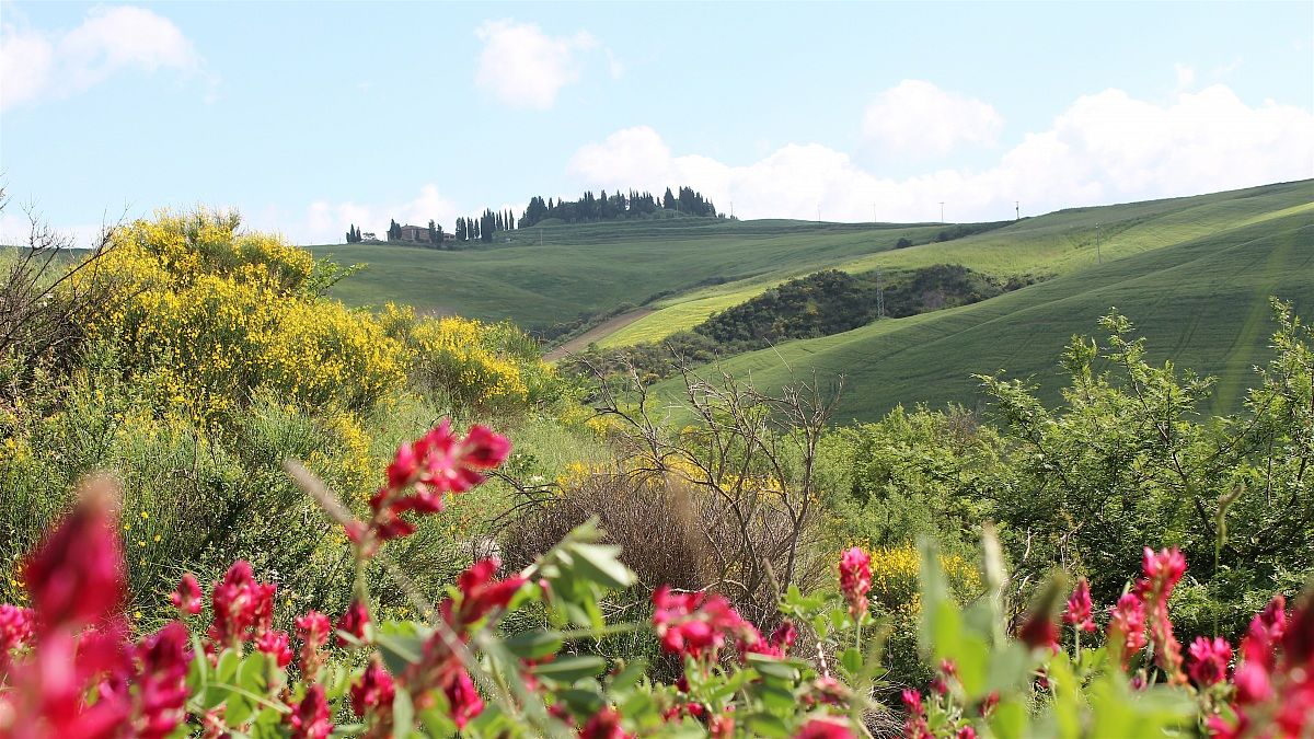 Val D'Orcia in primavera
