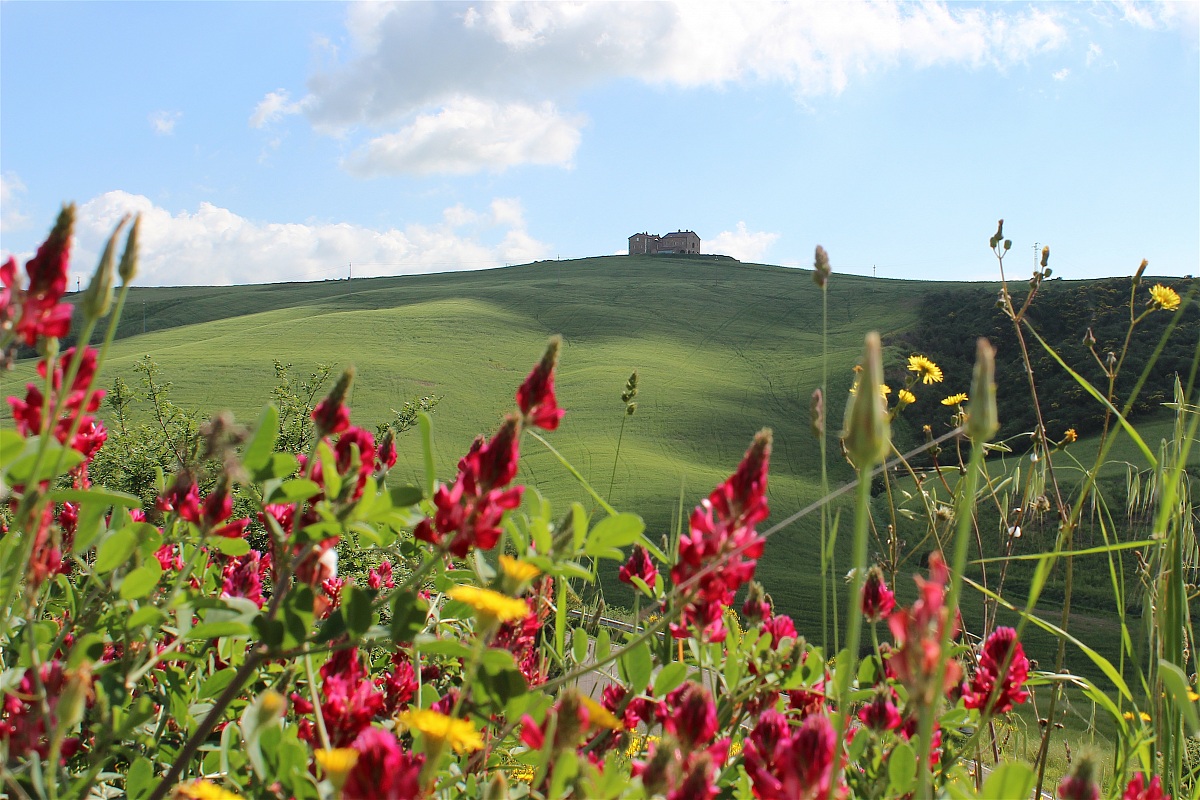 Val d'Orcia in primavera
