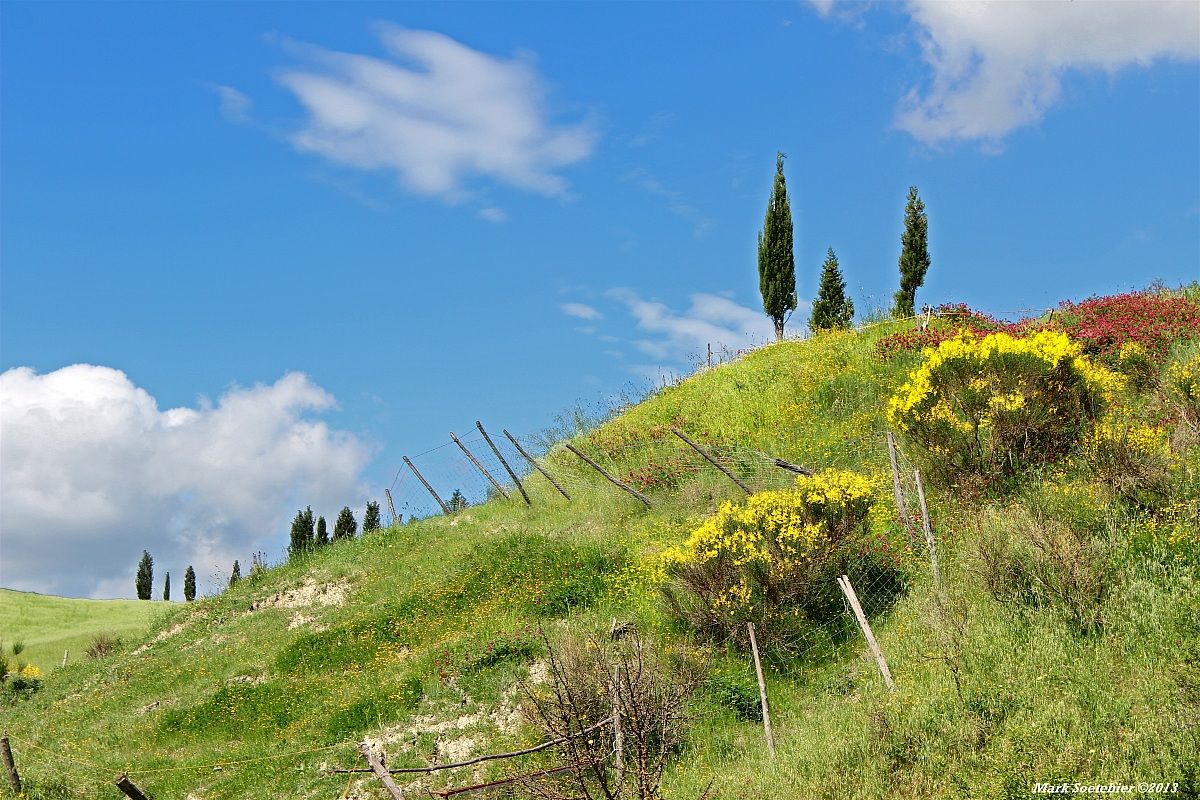 Val D'Orcia in Primavera