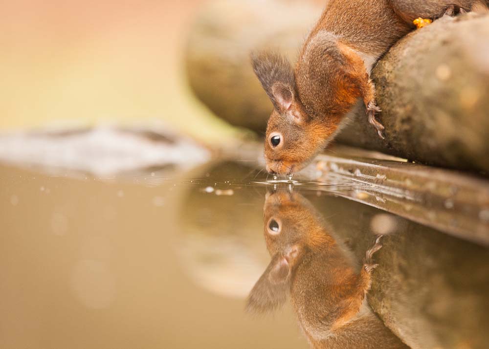 Riflessioni invernali